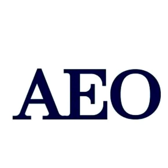 American Eagle Outfitters Men's Black Appliquéd Crewneck Short Sleeve Tee - Picture 12 of 12